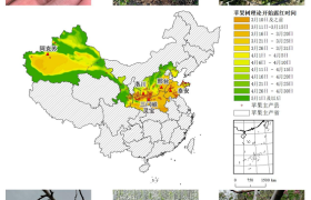 农业农村部信息中心与佳格天地联合发布2020年全国主产区苹果花期冻害预警分析