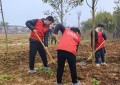 兰溪平安产险：植绿九畹兰花基地，共绘乡村振兴蓝图